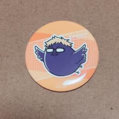 ハイキュー トレーディング動物マスコット缶バッジ カラスノガラスver