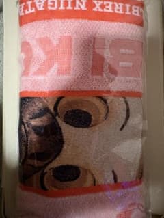 アルビレックス新潟 タオルマフラーのサムネイル