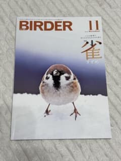 BIRDER 2025年11月号　雀特集のサムネイル