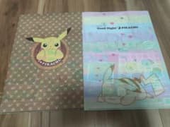 포켓몬 I LOVE PIKACHU 클리어 파일 2종 세트