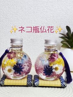 No.899お値下げ✨ネコ瓶仏花 ハーバリウム 2個セットコースター付き✨のサムネイル