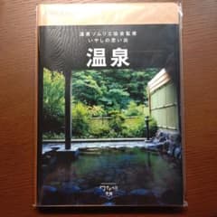 【未使用】ワナドゥ手帳 温泉のサムネイル