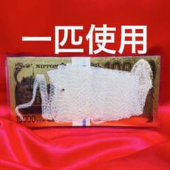 開運 お守り 白蛇 蛇の抜け殻 金運 アップ 最強 MO-1723 - メルカリ