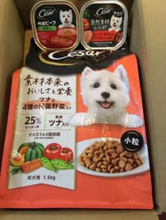 シーザー　成犬用ドライ&ウエットフードセットのサムネイル