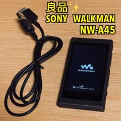 良品】SONY ソニー WALKMAN NW-A45 グレイッシュブラック - メルカリ