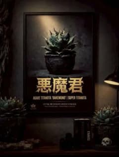 アガベ チタノタ 悪魔君　限定！額入りポスター　超選抜株 バケモノ系