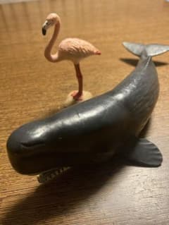 シュライヒ　フラミンゴ&マッコウクジラのサムネイル
