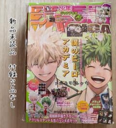 未読品 ジャンプGIGA2024SPRING 付録全てあり ヒロアカ - メルカリ