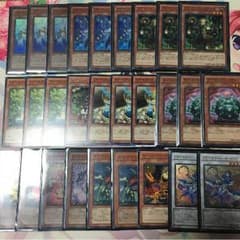 遊戯王 植物アロマパーツのサムネイル