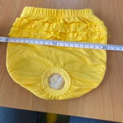 犬用パンツ　女の子用のサムネイル