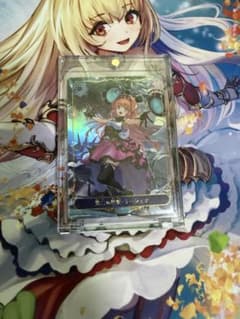 T*M様 第二の絶傑 リーシェナ リーダーカード シャドウバース エボルヴ