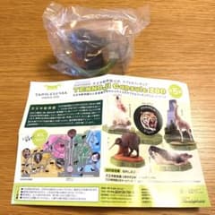 天王寺動物園公式　カプセルフィギュア　ガチャ　キーウィのサムネイル