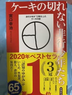 新書　ケーキの切れない非行少年たちのサムネイル