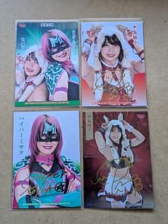 BBM 女子プロレス カード 4枚セット 中島翔子 ハイパーミサヲのサムネイル