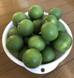 もぎたて　かぼす　無農薬のサムネイル