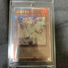 遊戯王 灰流うらら　絵違い　プリシクのサムネイル