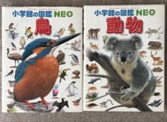 小学館の図鑑NEO 鳥 動物 2冊セットのサムネイル