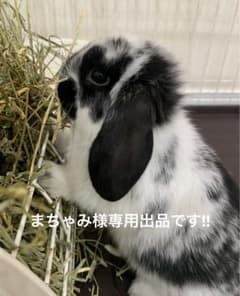 まちゃみ様専用、リピーター様割引きしています！少々のおやつのサムネイル