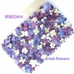紫陽花ドライフラワー ヘッドMIX ハンドメイド用花材 No.1312 - メルカリ