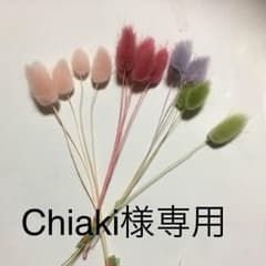 Chiaki様専用 ドライフラワーのサムネイル