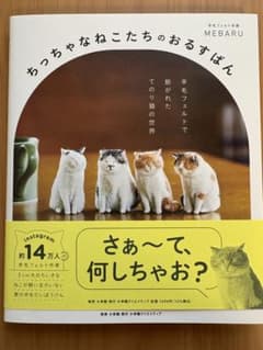 ちっちゃなねこたちのおるすばん　羊毛フェルトで紡がれた てのり猫の世界のサムネイル