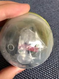 きかんしゃトーマス パーシーのサムネイル