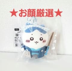 치이카와 포켓 에도인 마스코트 하치와레