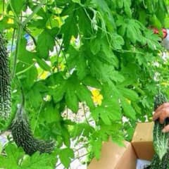 ゆんたそさま❤︎専用のサムネイル