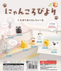 にゃんころびより ころぽてめじるしちゃ〜む 8種　コンプリートセット