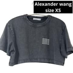 alexanderwang ダークグレー クロップドTシャツ XS - メルカリ