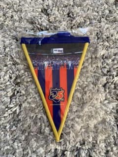 FC東京　25周年記念品のサムネイル