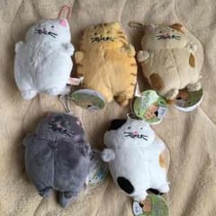 「くりーむ様 専用」でぶねこ ぬいぐるみ いびきのサムネイル
