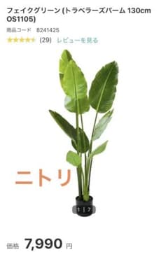 ニトリ フェイクグリーン 観葉植物のサムネイル