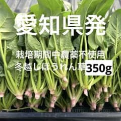 ほうれん草350g栽培期間中農薬不使用のサムネイル