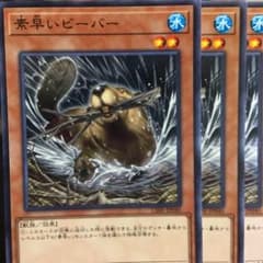 遊戯王 素早いビーバー  きりゅう様専用のサムネイル