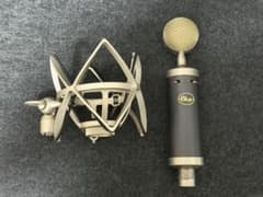Blue Baby Bottle SL XLR コンデンサーマイク - メルカリ