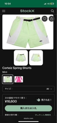 corteiz cargo shorts カーゴパンツ ハーフパンツ