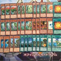 【遊戯王】神羅デッキ＋ エクストラ2枚のサムネイル