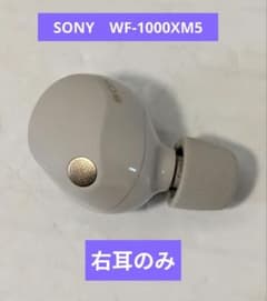 美品】SONY WF-1000XM5 右耳のみ シルバー - メルカリ