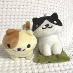 고양이 3점 세트 1점 즐기는 랜덤 N님