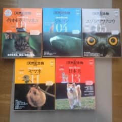 週刊 日本の天然記念物 動物編 5冊セットのサムネイル