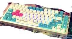 Glorious GMMK Pro White iceのサムネイル