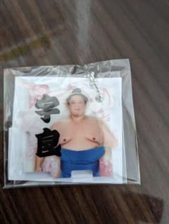 宇良 大相撲力士つながるパズルキーホルダーのサムネイル
