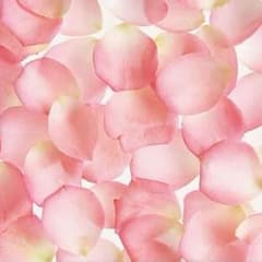 Sayaka様専用のサムネイル