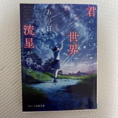 君のいない世界に、あの日の流星が降るのサムネイル