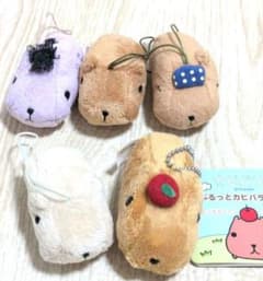 카피바라 씨 부딪히 카피바라 씨 키홀더 봉제인형 마스코트 마스코트