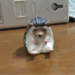 はりねずみガチャポンのサムネイル