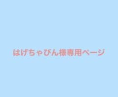 はげちゃびん様専用ページのサムネイル