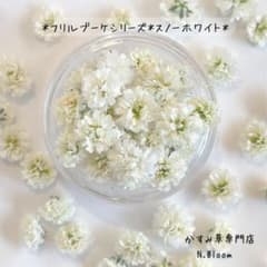 かすみ草 ＊スノーホワイト＊ 60粒 おまとめ購入で380円 ドライ