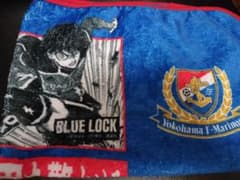 一度使用　横浜Fマリノス　百年構想リーグ　ブランケット